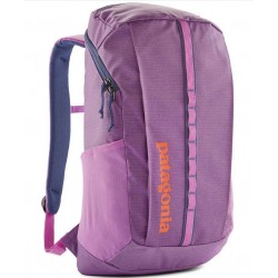 Patagonia Black Hole Pack...