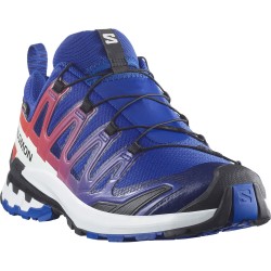 Salomon XA Pro 3D V9 GTX...