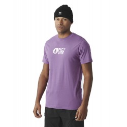 Picture Basement Classic...