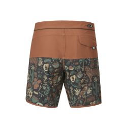 Picture Andy 17 Boardshort cathay