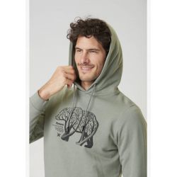 Picture DS bear branch Hood green spray