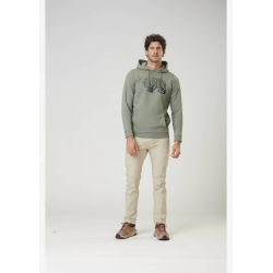 Picture DS bear branch Hood green spray