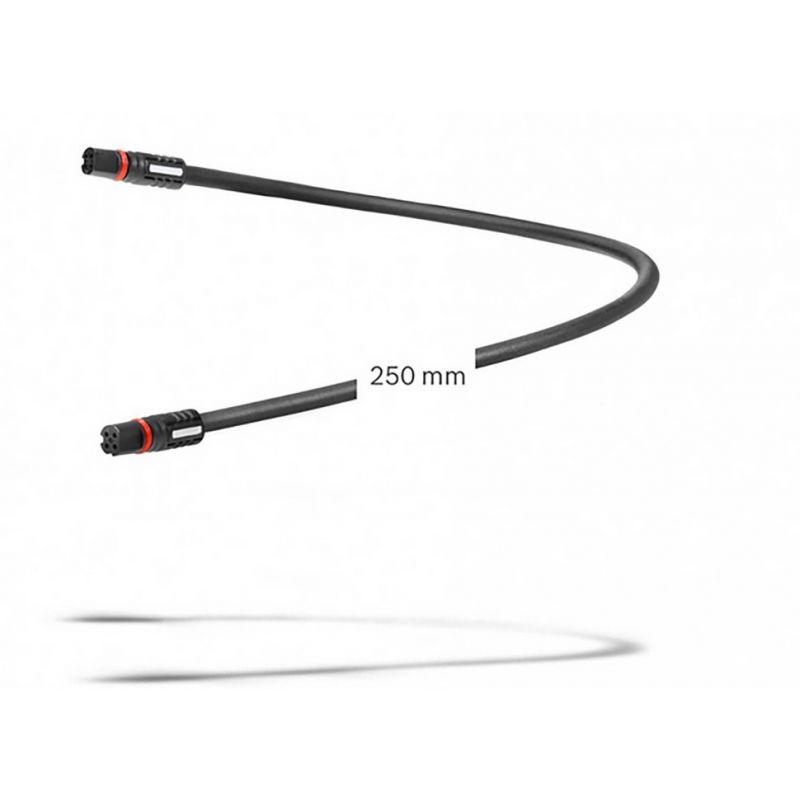Câble d'affichage 250 mm (BCH3611_250)