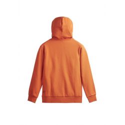 Picture basement zip hoodie red clay