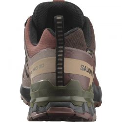 Salomon XA Pro 3D V9 GTX black coffe rum olive