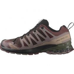 Salomon XA Pro 3D V9 GTX black coffe rum olive