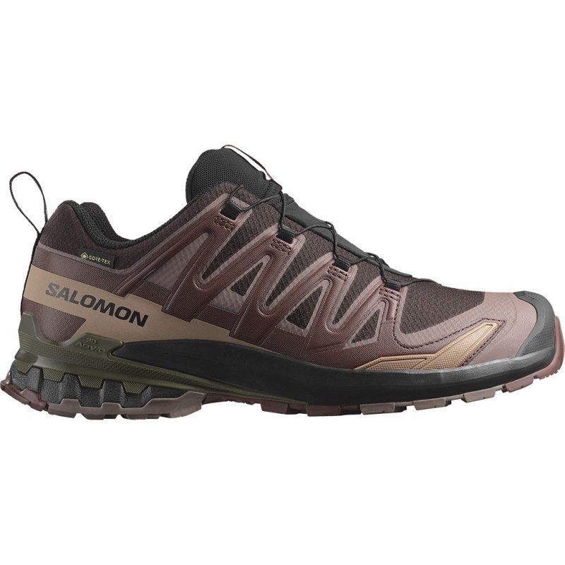 Salomon XA Pro 3D V9 GTX black coffe rum olive