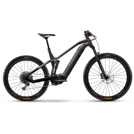 HAIBIKE ALLMTN 2 C1 pebble/black/red - matt 2025